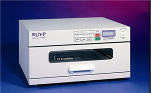 UVP⽻x